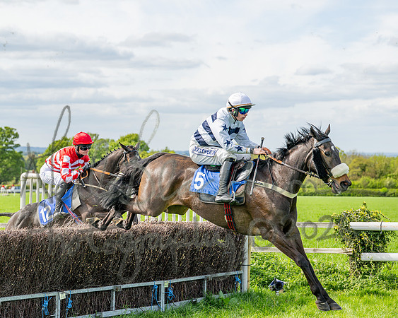 Race 5 - Restricted (46 of 88)