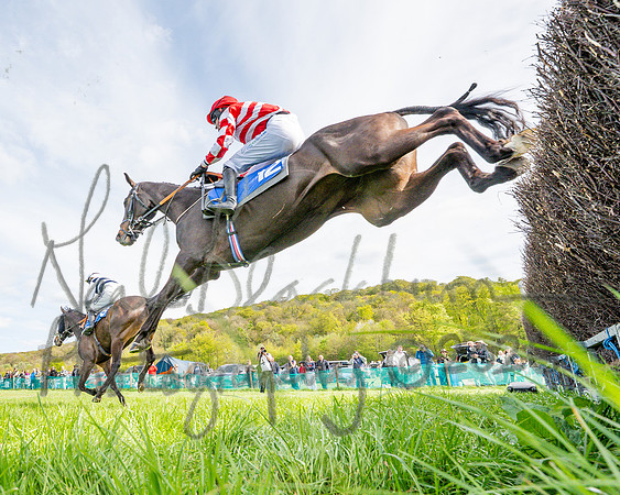 Race 5 - Restricted (45 of 88)