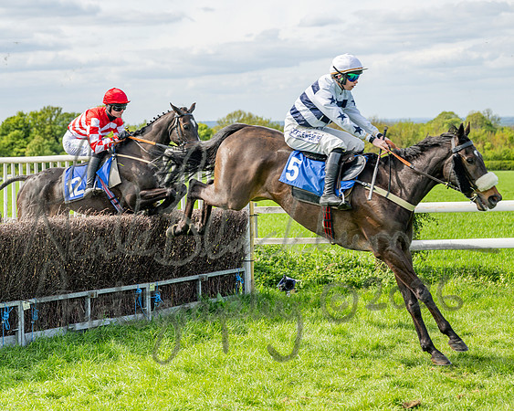 Race 5 - Restricted (47 of 88)