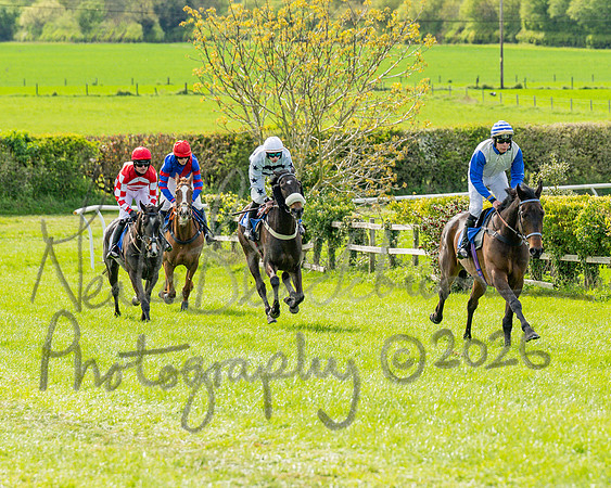 Race 5 - Restricted (51 of 88)