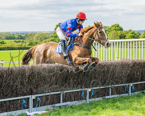 Race 5 - Restricted (48 of 88)
