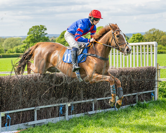 Race 5 - Restricted (49 of 88)