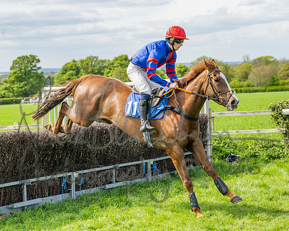 Race 5 - Restricted (50 of 88)