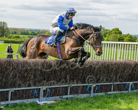 Race 5 - Restricted (52 of 88)