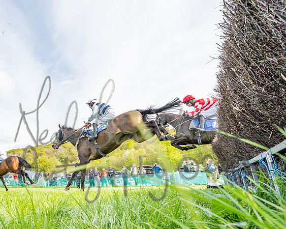 Race 5 - Restricted (56 of 88)