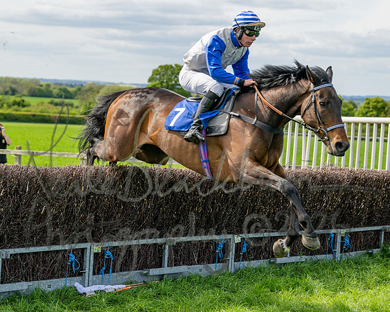 Race 5 - Restricted (53 of 88)