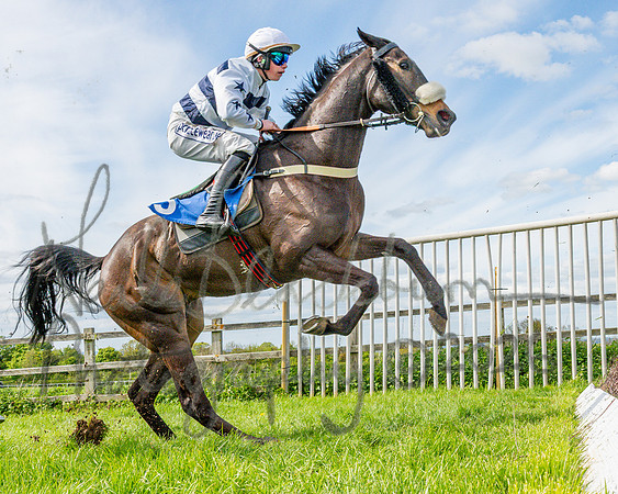 Race 5 - Restricted (55 of 88)