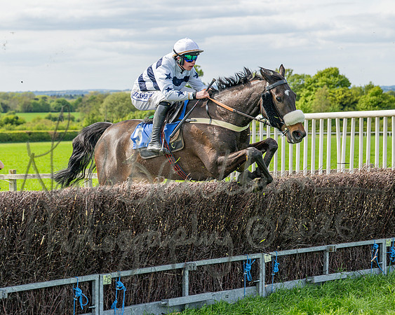Race 5 - Restricted (57 of 88)