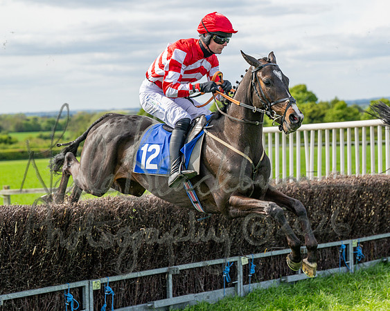 Race 5 - Restricted (60 of 88)