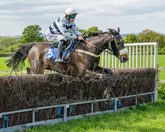 Race 5 - Restricted (58 of 88)