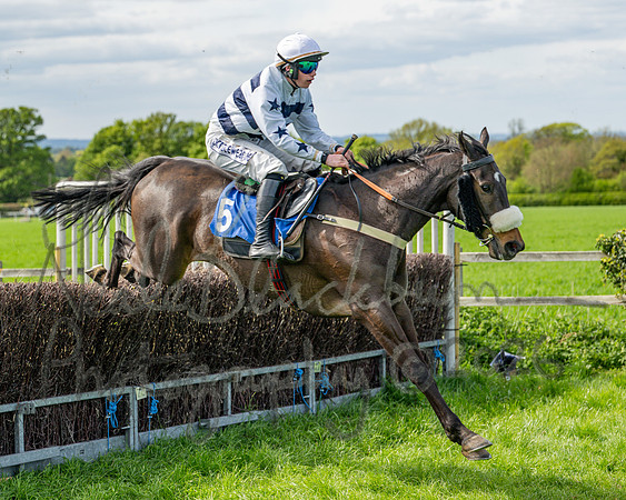 Race 5 - Restricted (59 of 88)