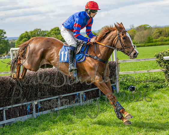 Race 5 - Restricted (62 of 88)