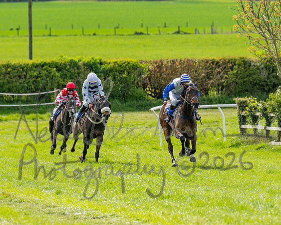 Race 5 - Restricted (63 of 88)
