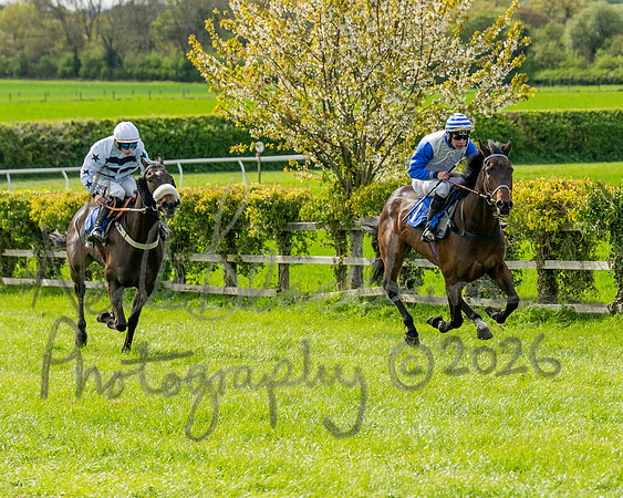 Race 5 - Restricted (64 of 88)