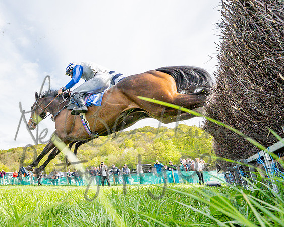 Race 5 - Restricted (65 of 88)