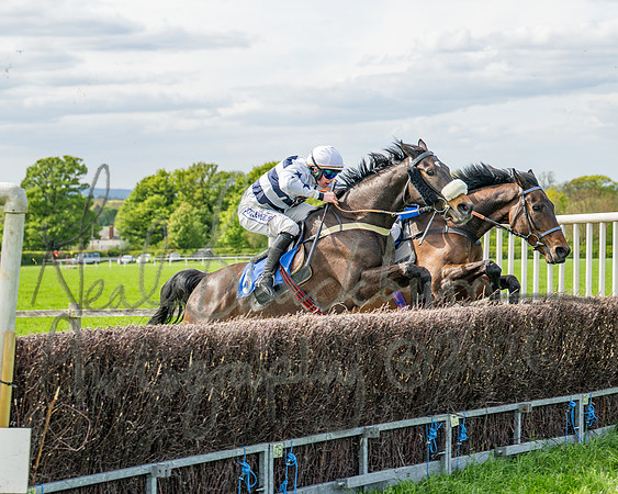 Race 5 - Restricted (66 of 88)