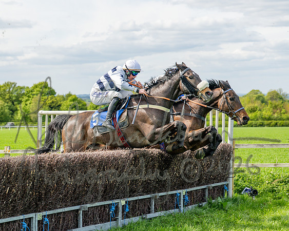 Race 5 - Restricted (68 of 88)