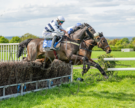 Race 5 - Restricted (69 of 88)