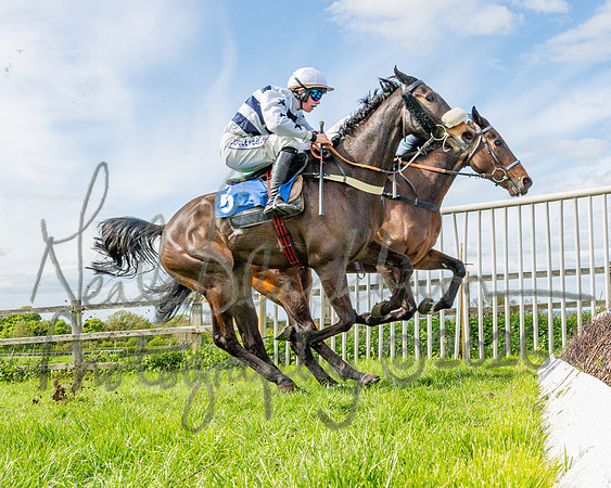 Race 5 - Restricted (67 of 88)