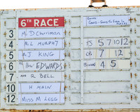 Race 6 - Conditions [level 2] 9YO and older (1 of 135)