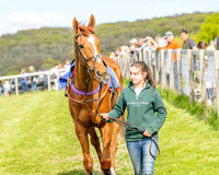 Race 6 - Conditions [level 2] 9YO and older (4 of 135)