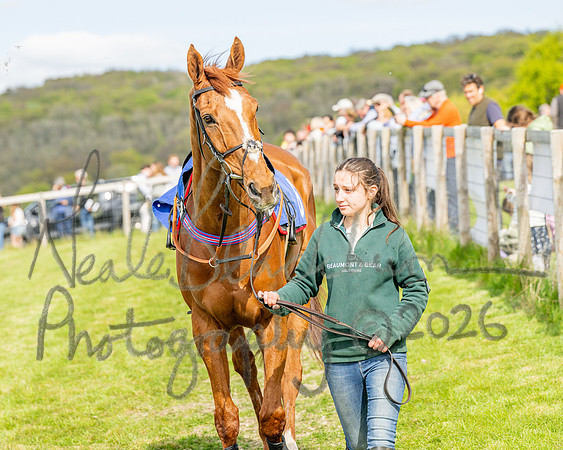Race 6 - Conditions [level 2] 9YO and older (4 of 135)