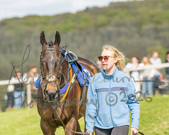 Race 6 - Conditions [level 2] 9YO and older (8 of 135)
