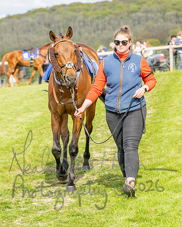 Race 6 - Conditions [level 2] 9YO and older (9 of 135)