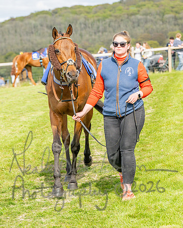 Race 6 - Conditions [level 2] 9YO and older (10 of 135)