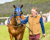 Race 6 - Conditions [level 2] 9YO and older (18 of 135)