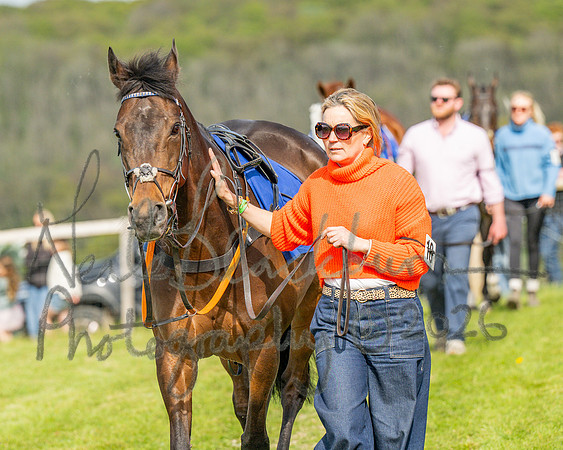 Race 6 - Conditions [level 2] 9YO and older (21 of 135)