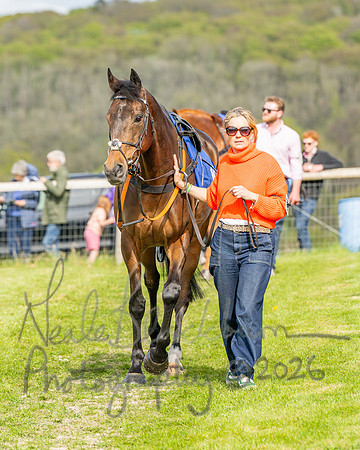 Race 6 - Conditions [level 2] 9YO and older (20 of 135)