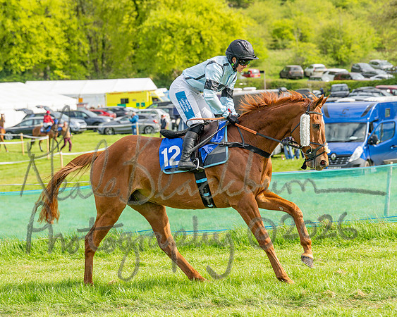 Race 6 - Conditions [level 2] 9YO and older (27 of 135)