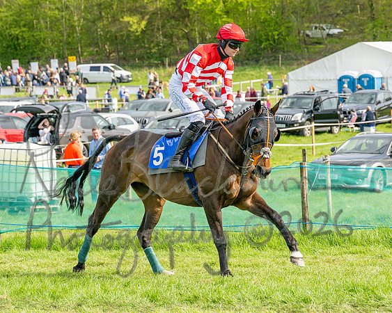 Race 6 - Conditions [level 2] 9YO and older (31 of 135)