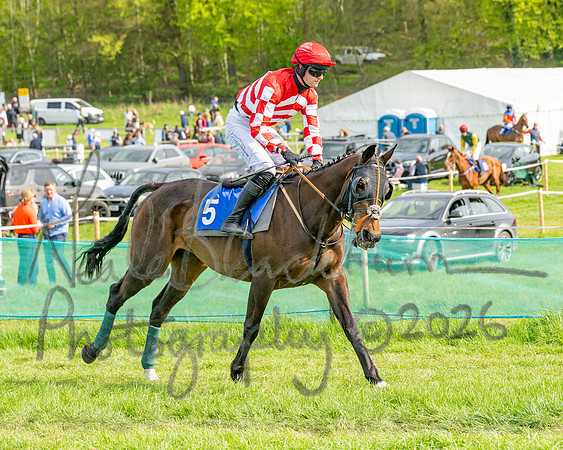 Race 6 - Conditions [level 2] 9YO and older (32 of 135)