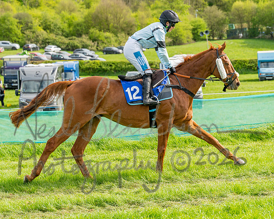 Race 6 - Conditions [level 2] 9YO and older (29 of 135)