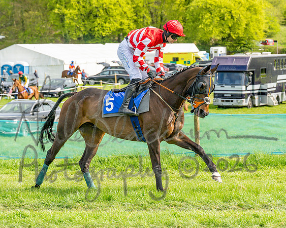 Race 6 - Conditions [level 2] 9YO and older (33 of 135)