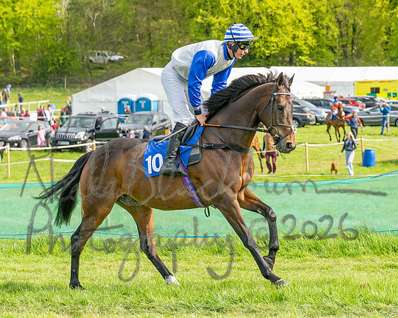 Race 6 - Conditions [level 2] 9YO and older (37 of 135)