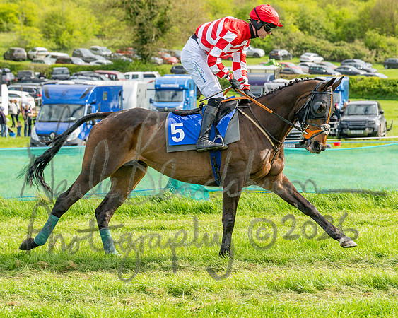 Race 6 - Conditions [level 2] 9YO and older (34 of 135)
