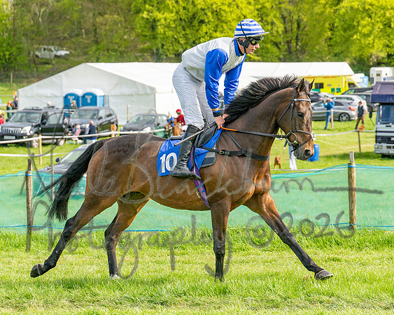 Race 6 - Conditions [level 2] 9YO and older (38 of 135)