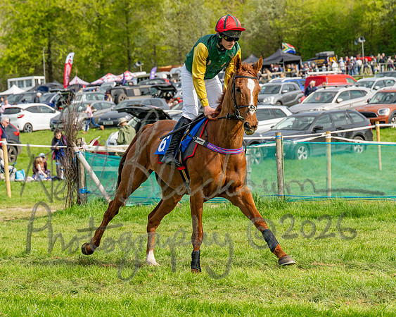 Race 6 - Conditions [level 2] 9YO and older (41 of 135)
