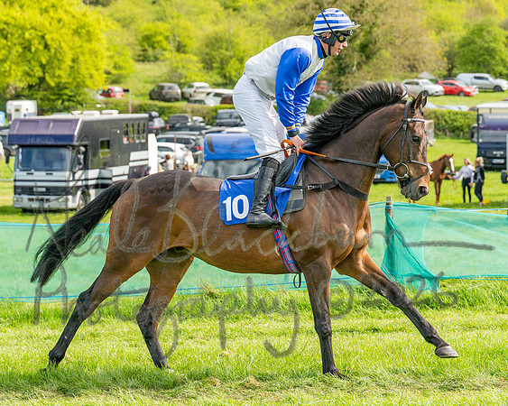 Race 6 - Conditions [level 2] 9YO and older (39 of 135)