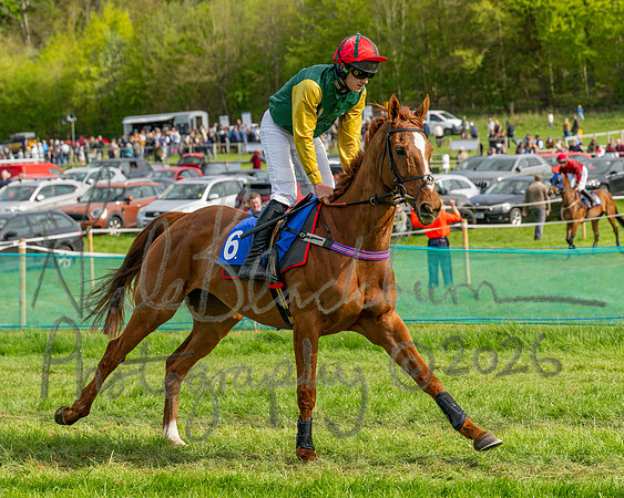 Race 6 - Conditions [level 2] 9YO and older (43 of 135)