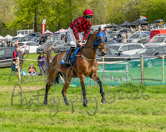 Race 6 - Conditions [level 2] 9YO and older (44 of 135)