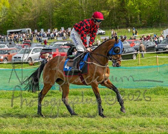Race 6 - Conditions [level 2] 9YO and older (45 of 135)