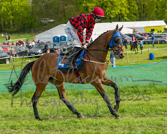 Race 6 - Conditions [level 2] 9YO and older (46 of 135)