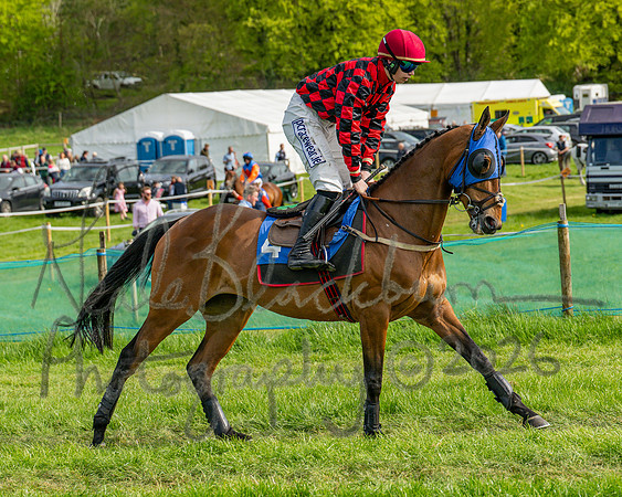 Race 6 - Conditions [level 2] 9YO and older (47 of 135)