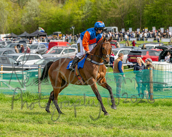 Race 6 - Conditions [level 2] 9YO and older (49 of 135)