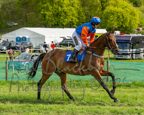 Race 6 - Conditions [level 2] 9YO and older (50 of 135)