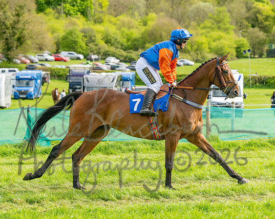 Race 6 - Conditions [level 2] 9YO and older (52 of 135)